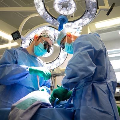 Vascular surgery | Royal Free London