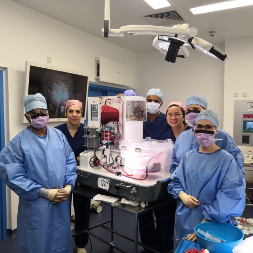 Liver transplant patients benefit from new technology at the Royal Free ...